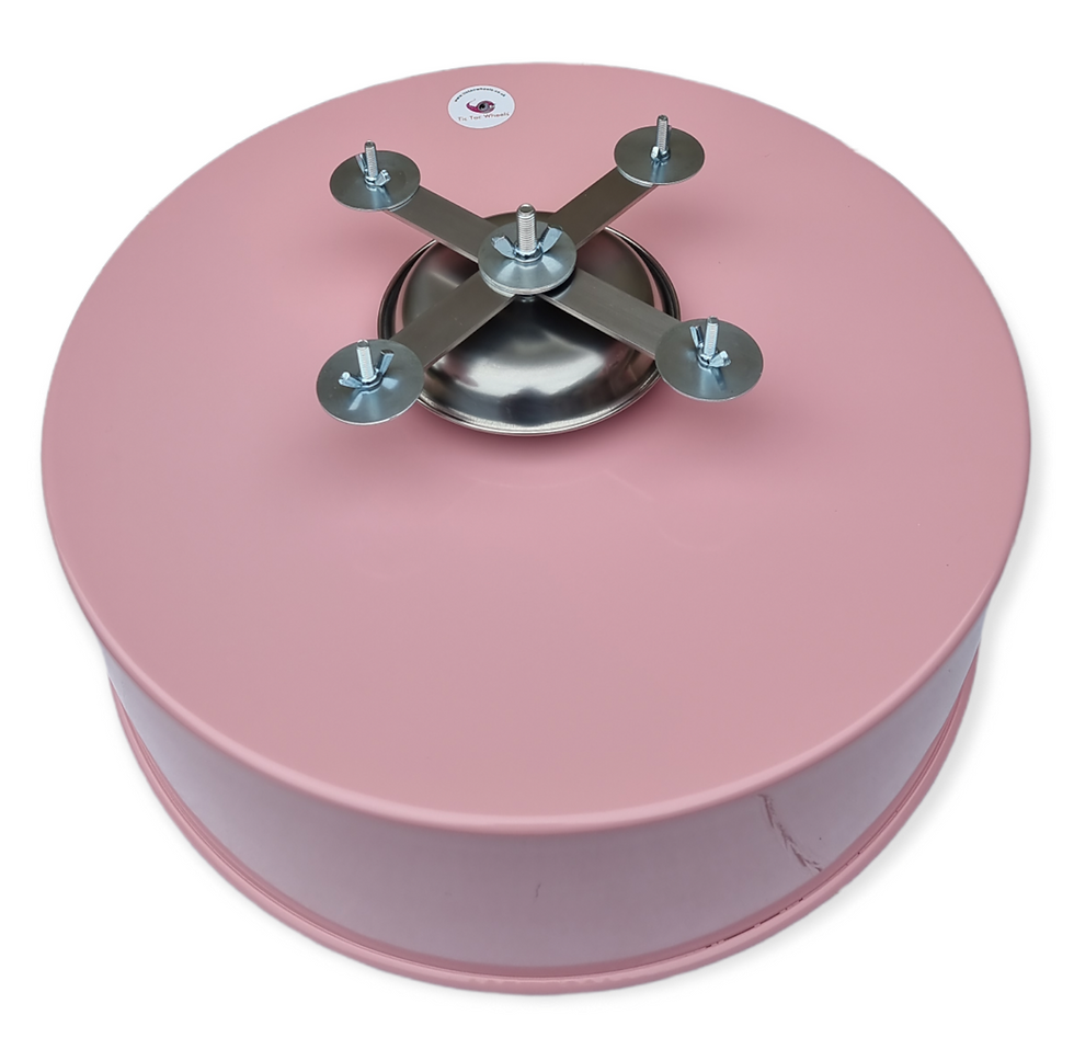 Thumbnail: Metal Exercise Wheel - PALE PINK