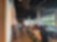 IMG_1396.jpeg