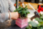 Nahaufnahme einer Person, die eine Pflanze in einem rosa Blumentopf arrangiert, neben einer Heißklebepistole