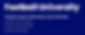 Screen Shot 2025-06-06 at 1.31.21 PM.png