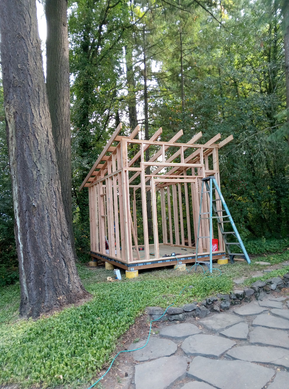 IMG_20250904_102039_456