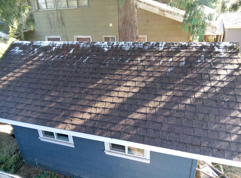 Roof Moss Removal and gutter cleaning