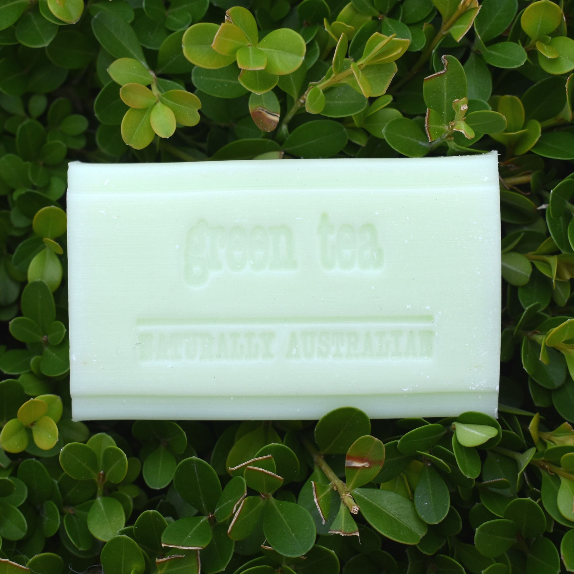 Green Tea 100g Natures Gifts Soap