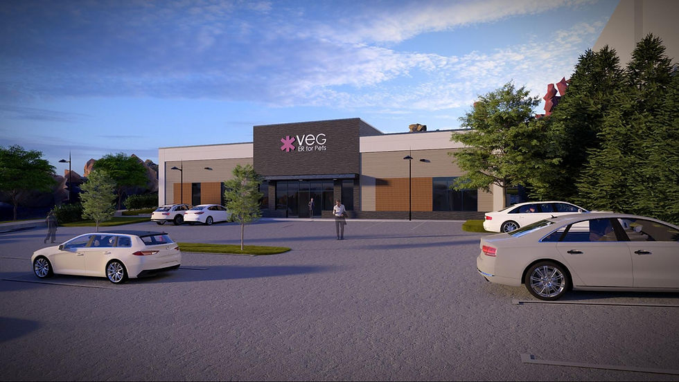 Rendering of the new VEG Veterinary Emergency Group clinic in Albemarle County