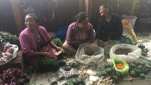 Climate Change is getting real for Sikkim’s farmers
