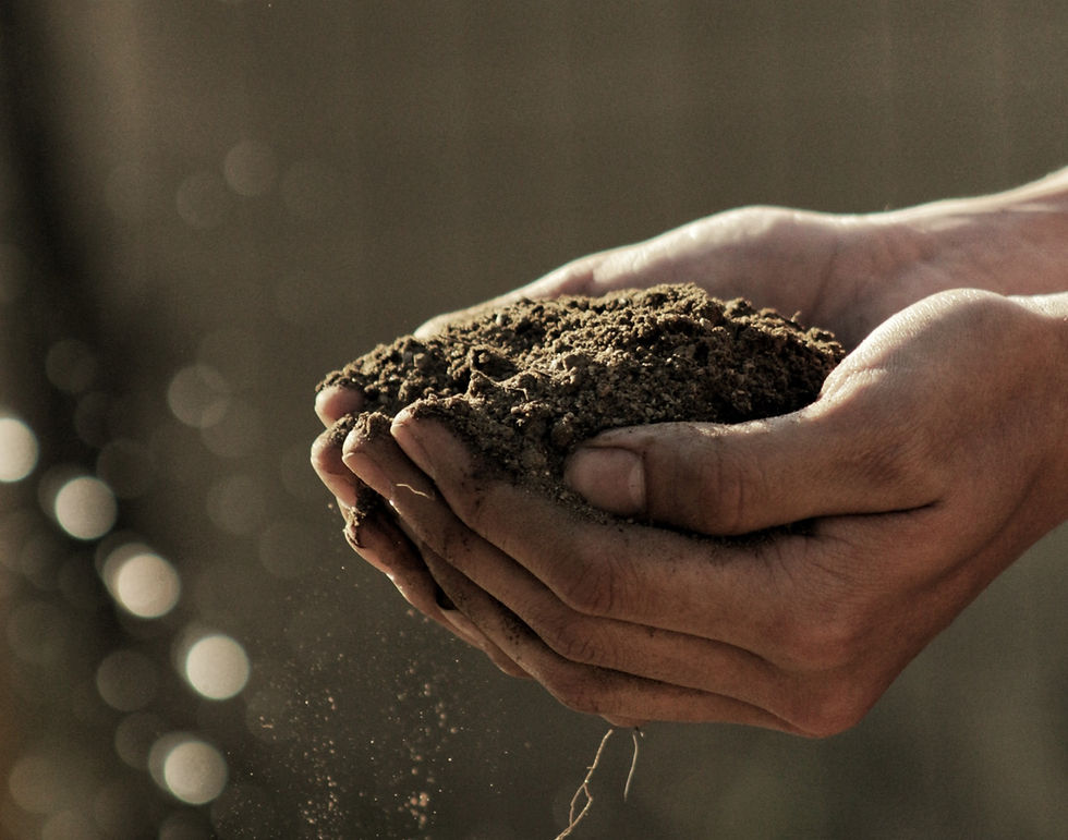 soil in hand