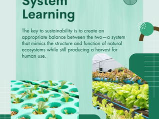 Sustainable System Learning