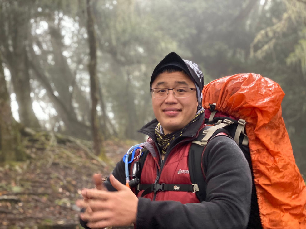 line_278362574255997