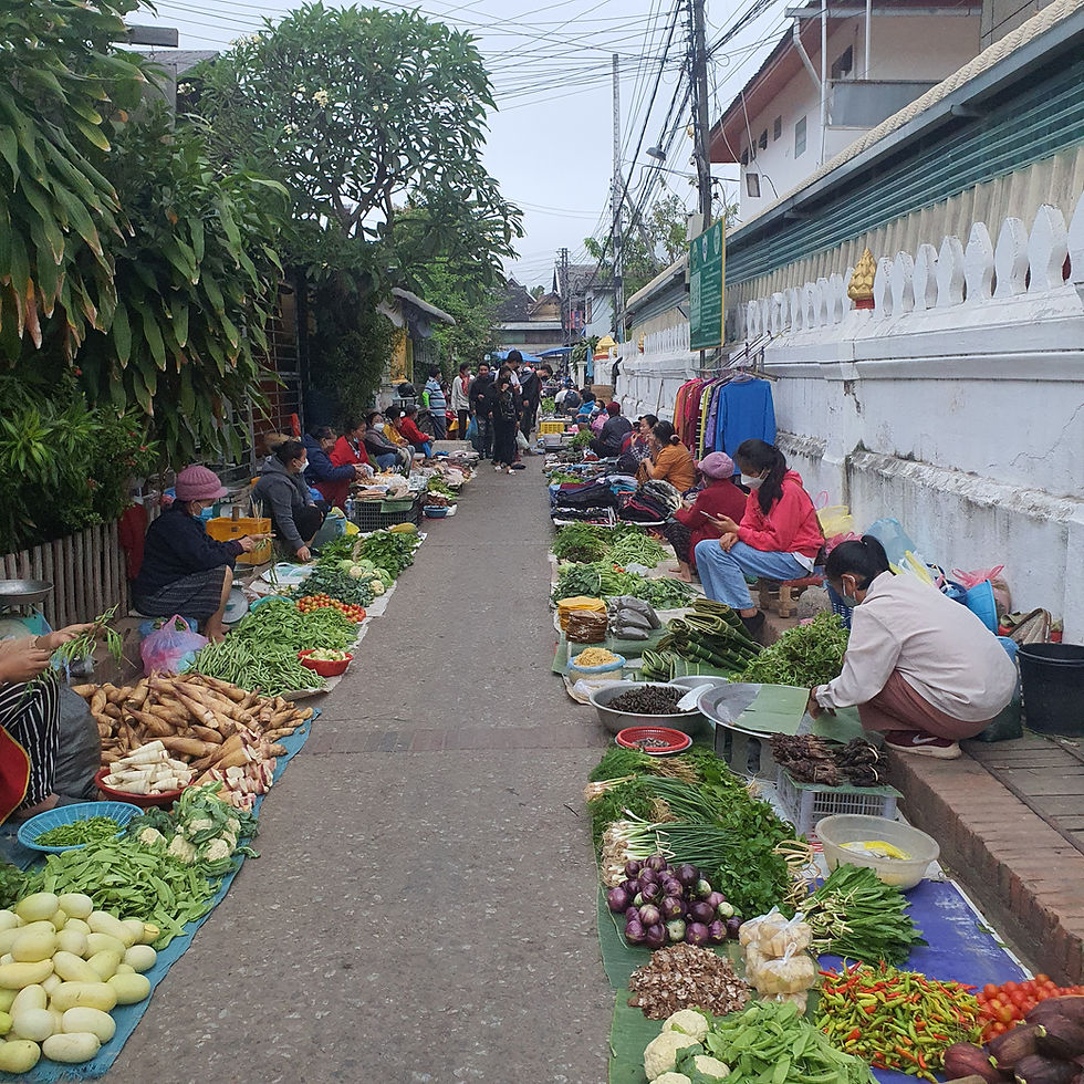 Au Laos, la vie s'éveille avant le soleil, au rythme du marché du matin