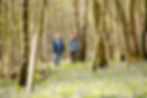 Nature-inspired Wellbeing