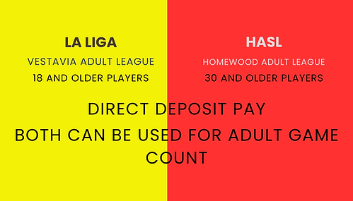 Adult Leagues.png