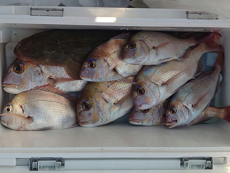 11月10日一つテンヤ