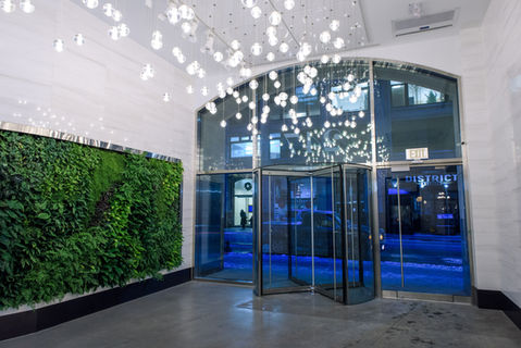 green plants live wall lobby