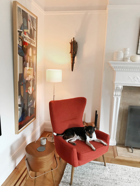 red chair fireplace dog