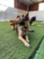 photo_3_2023-03-30_15-50-52