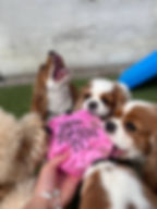 photo_1_2023-03-30_15-49-30