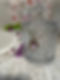 IMG_6206.jpeg
