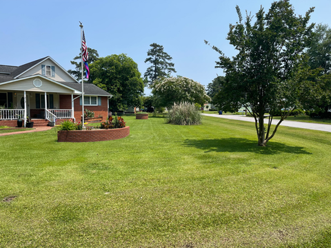 Lawn mowing service in Jacksonville NC – freshly cut residential front yard by Blade an Bloom Commercial Landscaping