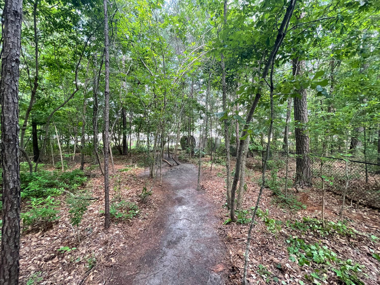 Overgrown brush removed to create safe trail for family and pets Jacksonville NC and surrounding areas