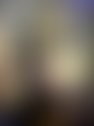 Consumo e Super Endividamento - vulnerabilidade e escolhar intertemporais