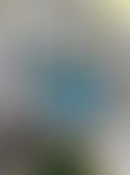 O consumo sustentável e o comportamento do Consumidor - Sociedade de Consumo - Pesquisas em Direit