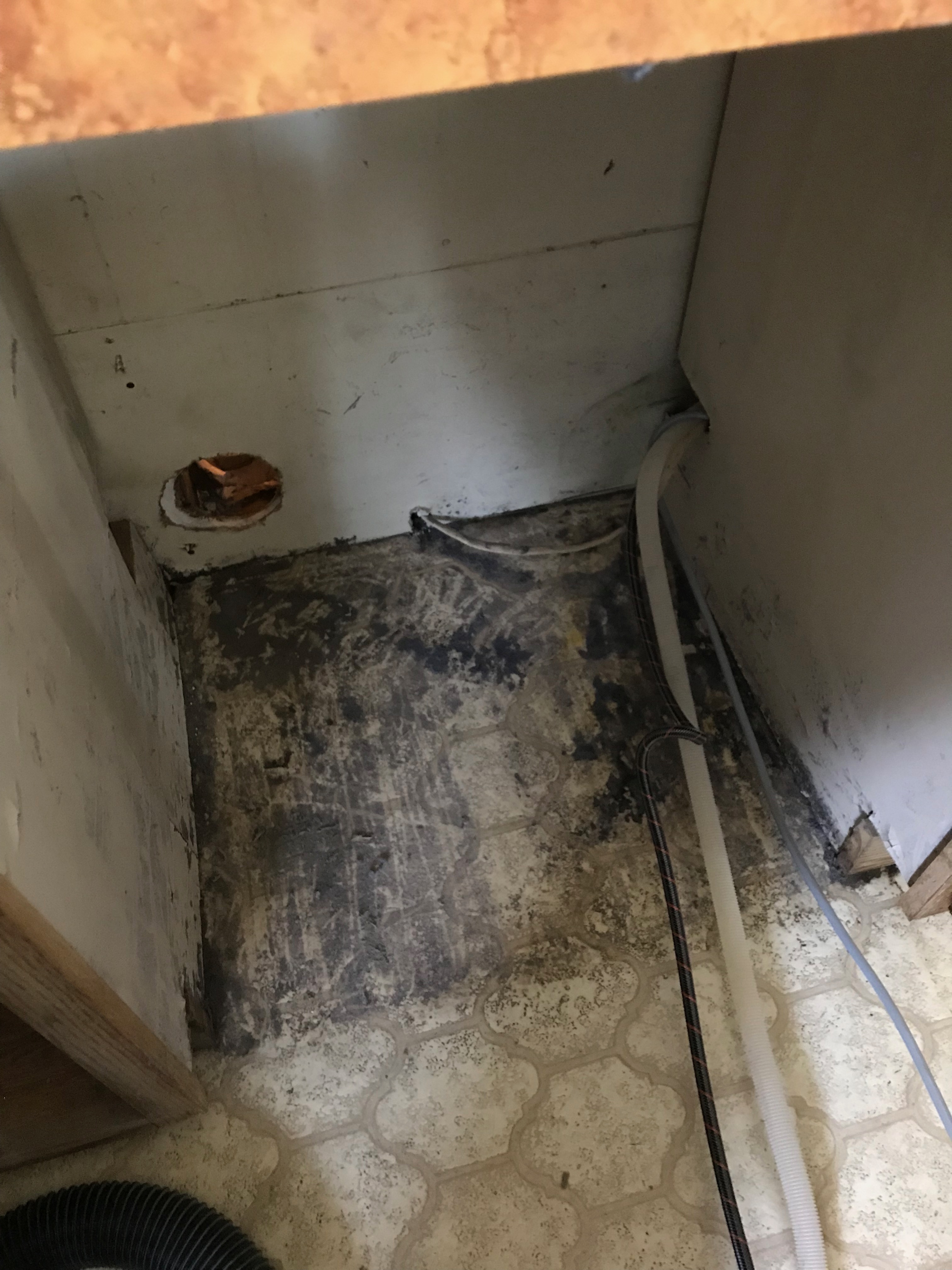 Area after cleaning