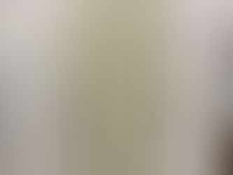 MEDIA情報 2/1 放送 NTV「スッキリ」榊原郁恵様着用