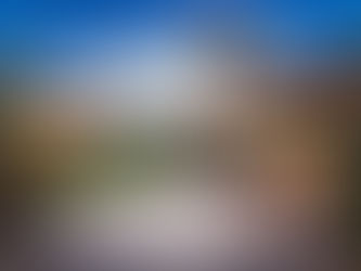 Are Pergolas Good for Shade?