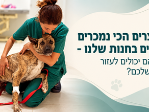 המוצרים הכי נמכרים לכלבים בחנות שלנו - ומתי הם יכולים לעזור לכלב שלכם?