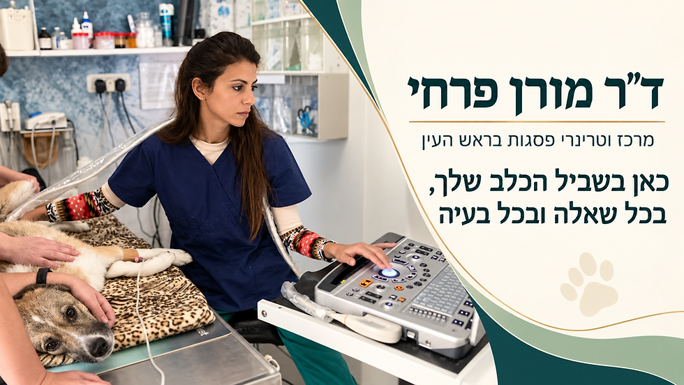 ד"ר מורן פרחי, מרכז וטרינרי פסגות בראש העין, כאן בשביל הכלב שלך בכל מקרה ובעיה..