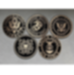 Military Emblem Collection Bronze 5 branches