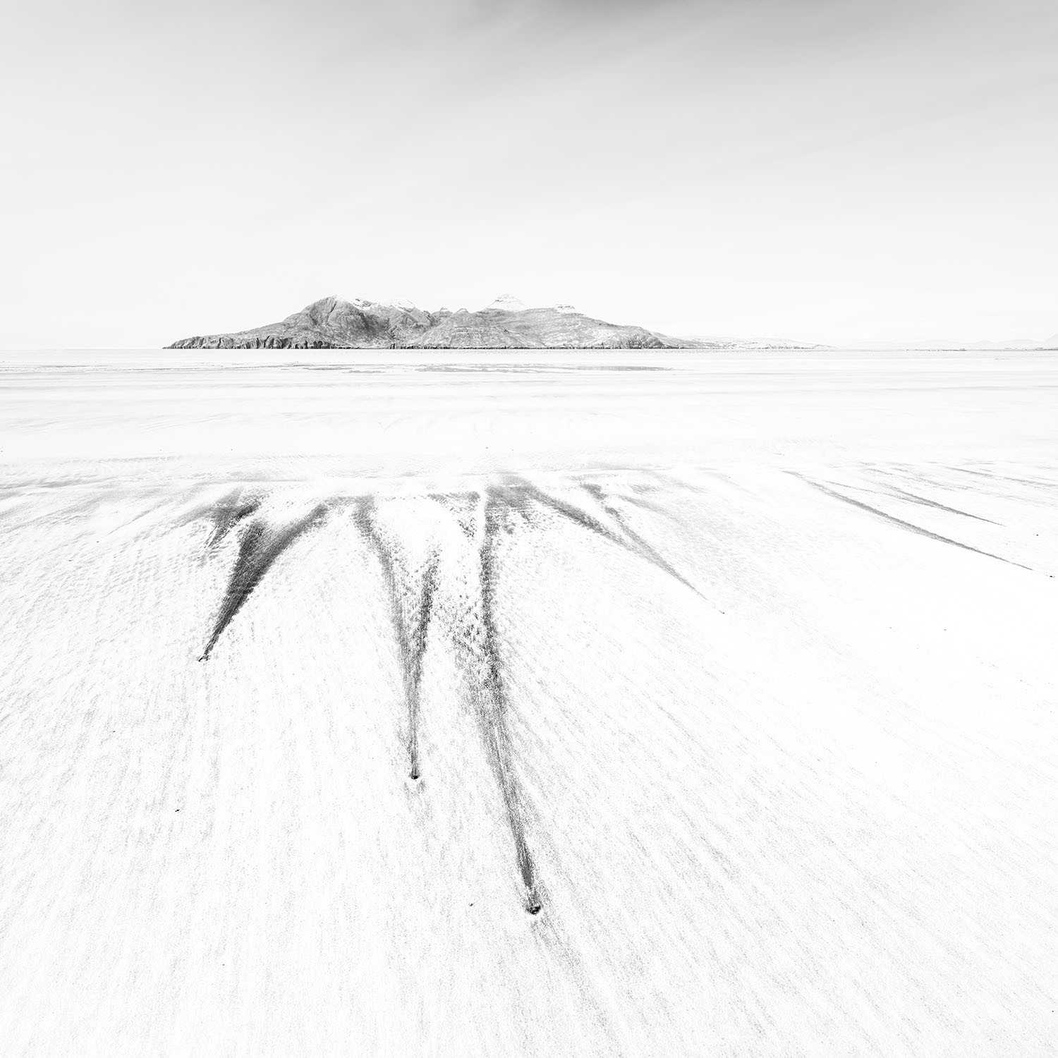 Island Life #5