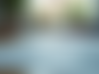 Why Choose Professional AI Consultancy Services