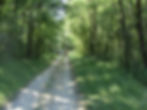 Wooded Walks Around Le Bost