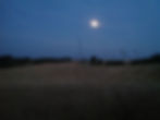 Magical Landscapes