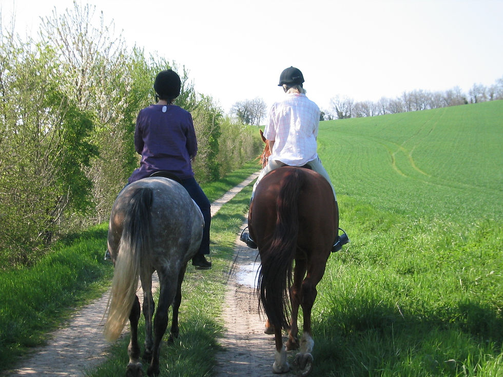 Riding Out Around Le Bost