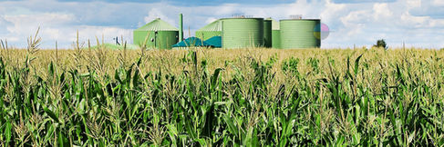 Bioenergia e Biomassa