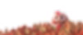 shutterstock_1543401074_edited (1).png