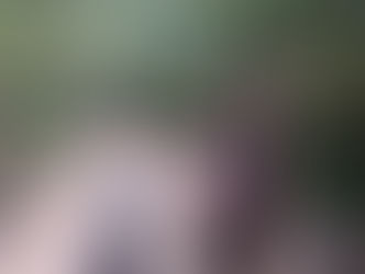 Pozdrowienia z Palmitos Park Gran Canaria