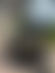 26 juni - daar gaan we weer!