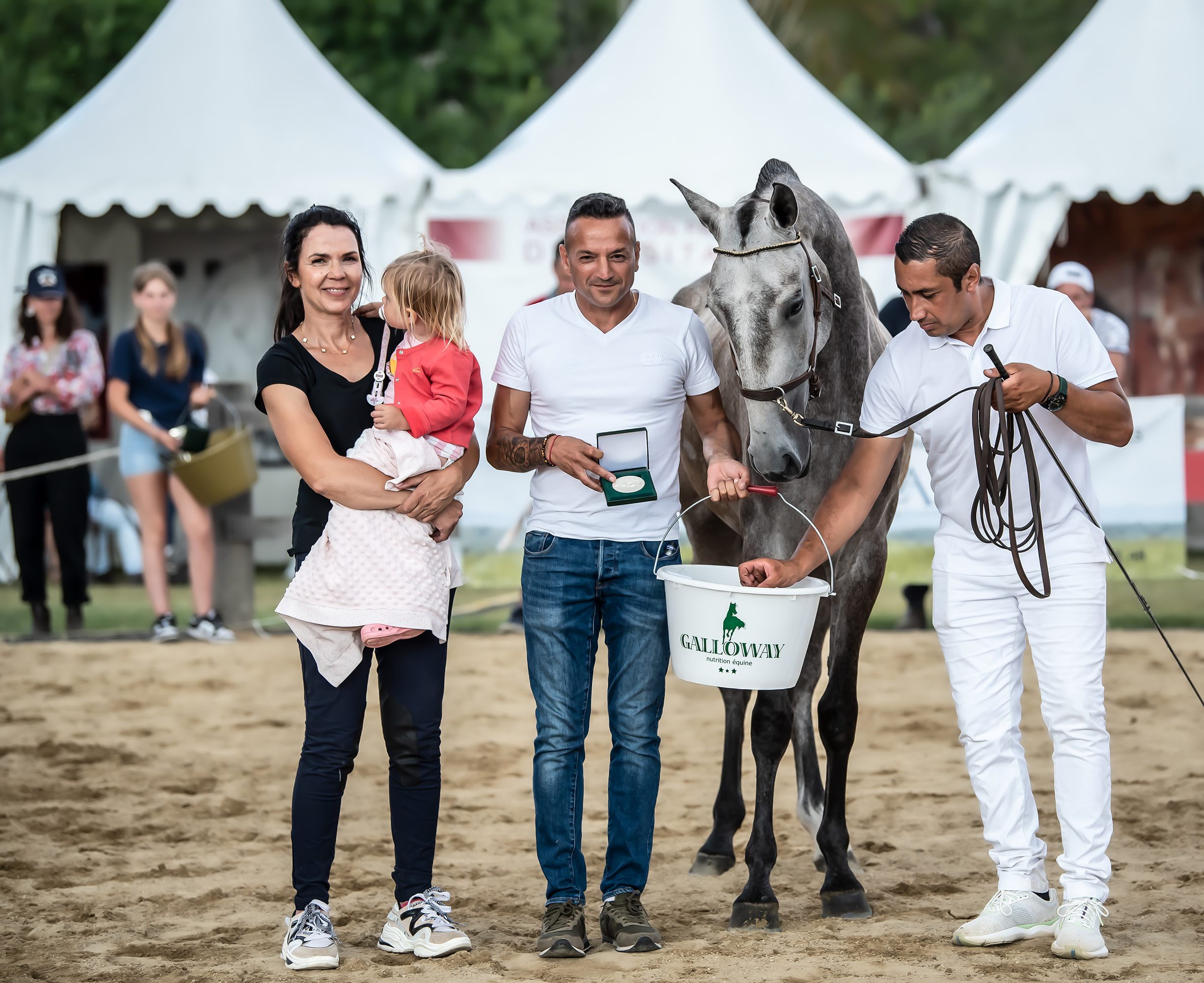 Riqueza du Duende, Elevage Do Rima | Chevaux Lusitaniens