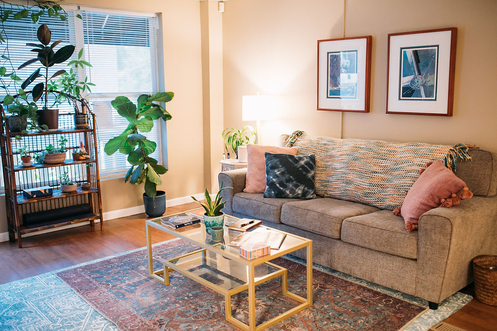 Alternative Therapy STL Waiting Room