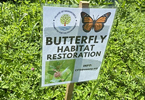 Butterfly habitat