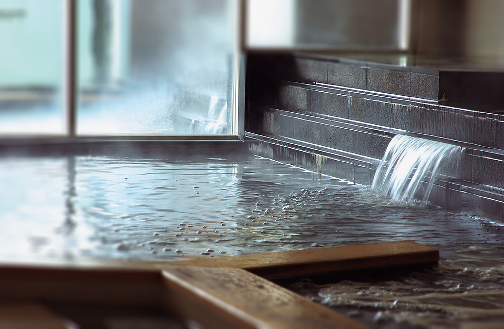 美人の湯