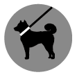ペットの放飼禁止.png