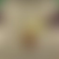 Zelda habillée en Gerudo avec Tri à ses côtés dans Echoes of Wisdom