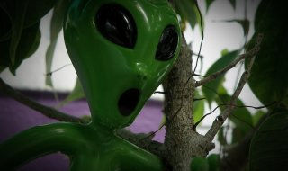 Les extraterrestres pourraient nous envoyer un message en 2029