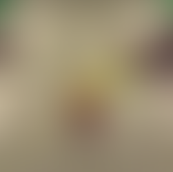 Zelda avec les cheveux attachés, une robe et Tri à ses côtés dans Echoes of Wisdom