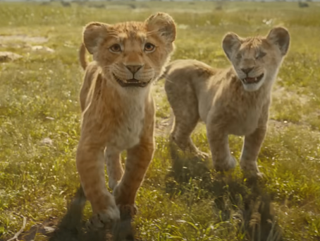 Le film Mufasa se dévoile à travers un trailer épique