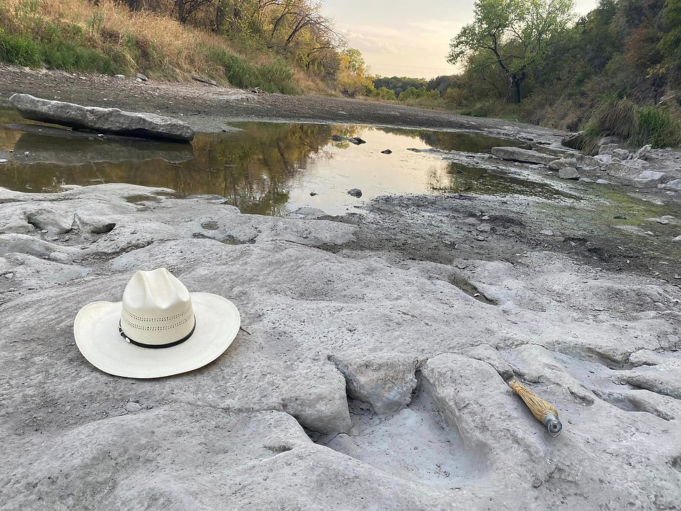 La plus grande piste d'empreintes de dinosaures au monde a été découverte au Texas